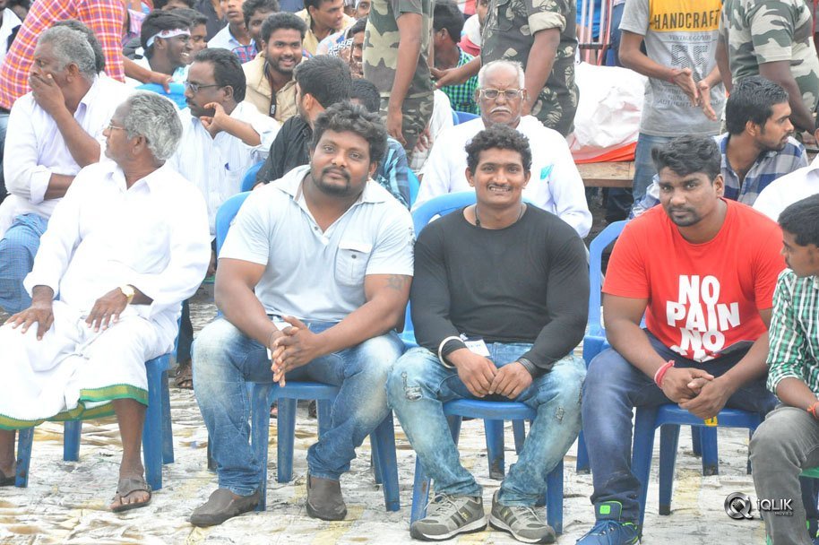 Jaya-Janaki-Nayaka-Movie-Vijayotsava-Veduka-At-Hamsala-Deevi